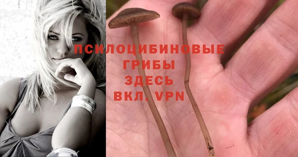 синтетический гашиш Михайлов