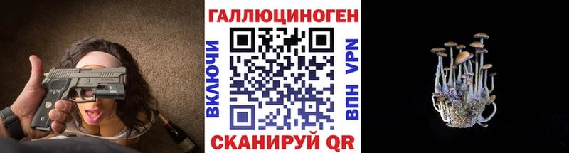 Купить где  Северо-Курильск  Псилоцибиновые грибы Psilocybe 