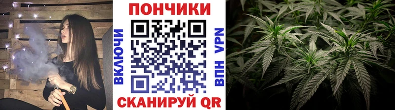 Каннабис план Северо-Курильск