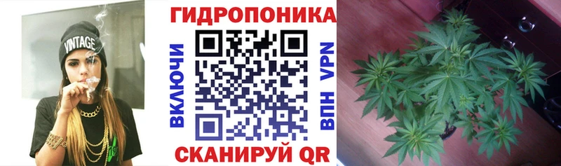 Купить где  Северо-Курильск  Бошки марихуана Ganja 